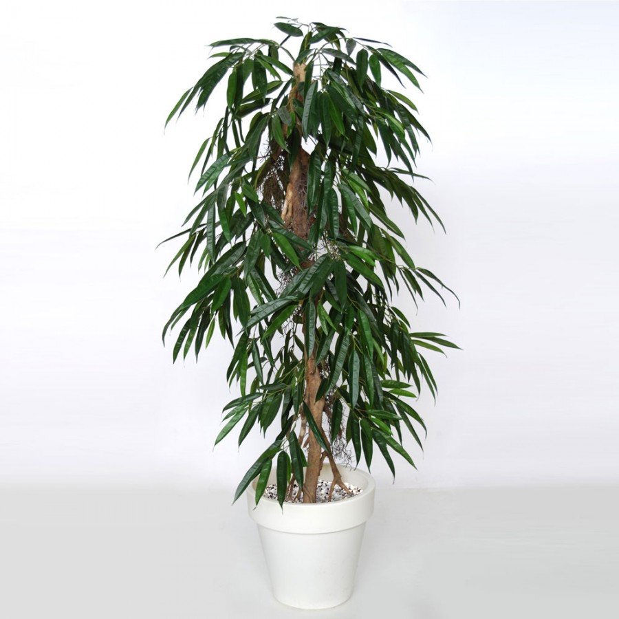 Planta semi-artificiala Ila, Longifolia Pendula Green - 160 cm